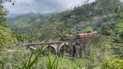 Uitzicht van ver af op de Nine Arches Bridge in Ella in Sri Lanka met trein