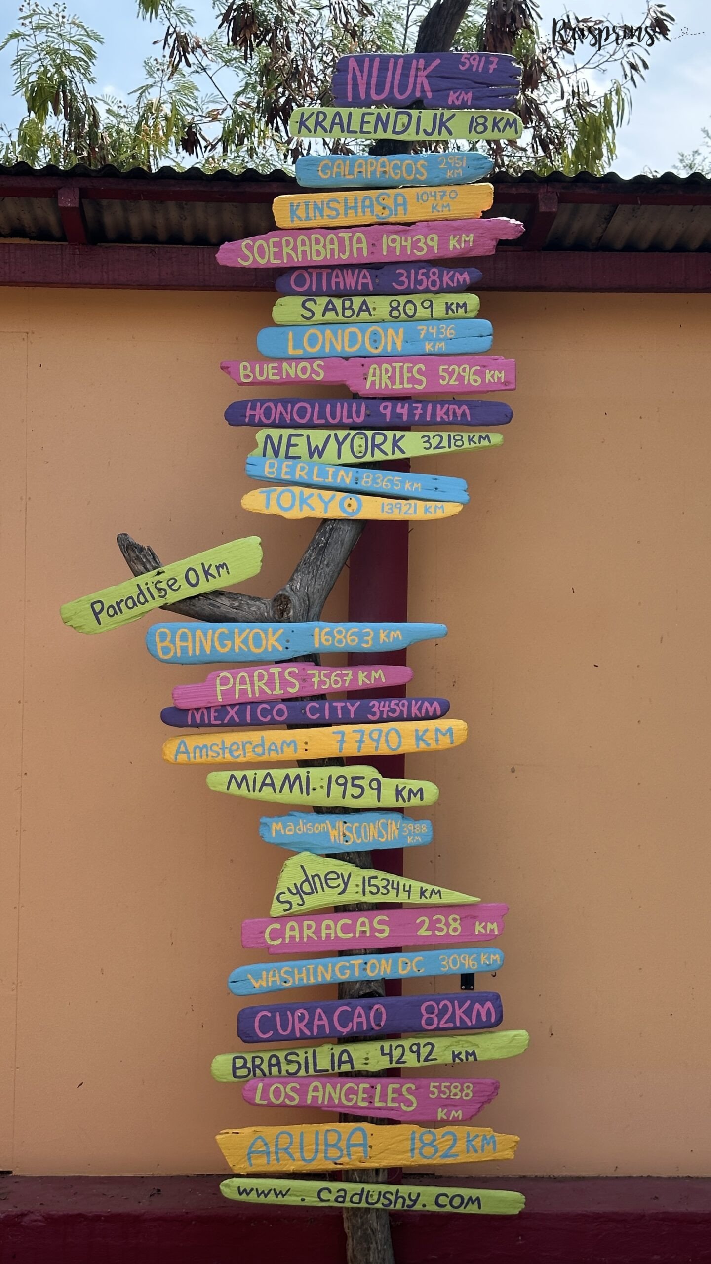 Aankleding bij Cadushy Distillery op Bonaire