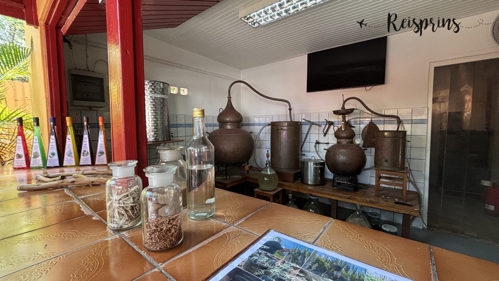 Uitleg bij Cadushy Distillery op Bonaire